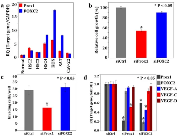 Figure 4. In vitro analysis of Prox1 and FOXC2 using human OSCC cells. a, Expression of Prox1 and FOXC2 in 6 OSCC cells measured using realtime RT-PCR