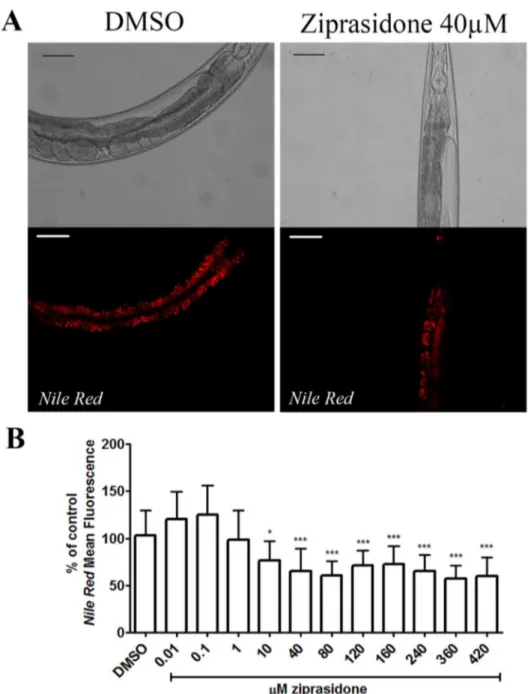 Figure  1.    Nile  Red  Fluorescence  reduction  in  Caenorhabditis  elegans  wild-type  (N2)  after  Ziprasidone  treatment  for 24h