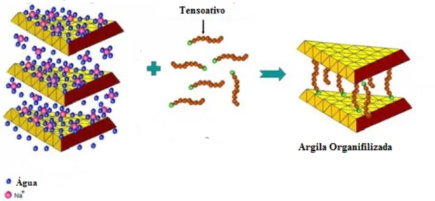 Figura   2:   Esquema   da   organofilização   de   uma   argila,   onde   moléculas   do   tensoativo   foram   introduzidas   entre   as       
