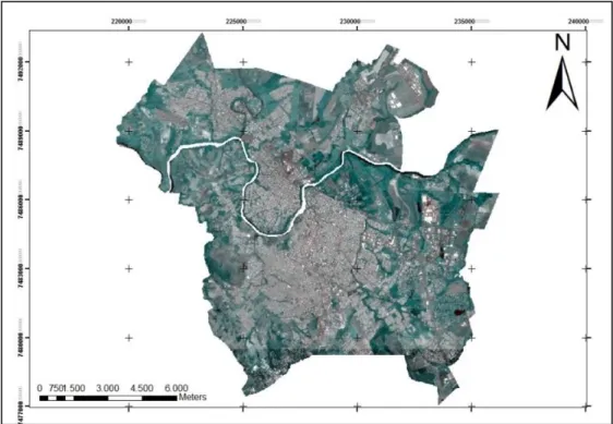 Figure 1 – Area of study. Source: RapidEye, 2012. 