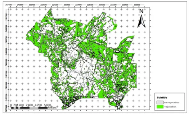 Figure 2 – Vegetation distribution in the neighborhoods of the city of Piracicaba . 