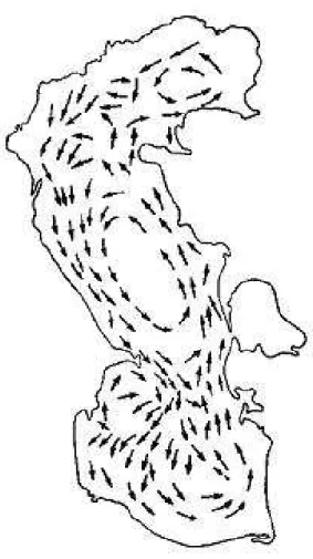 Fig. 1. Scheme of the Caspian Sea sea currents (Lednev, 1943).