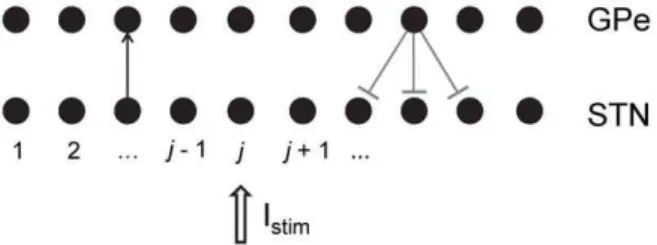 Figure 1. The schematics of the model network with examples of synaptic connections between neurons