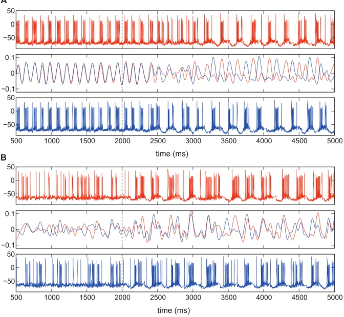 Figure 4. Delayed feedback stimulation effect in the model network. A) Desynchronization of strongly synchronous STN neurons with delayed feedback stimulation