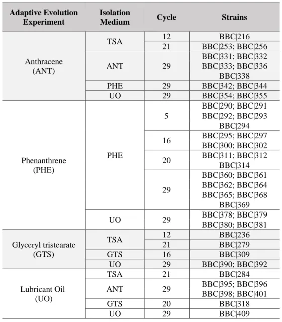 Table 1 Origin of the strains used in the present work - experiment and cycle of adaptive evolution and isolation  medium (P