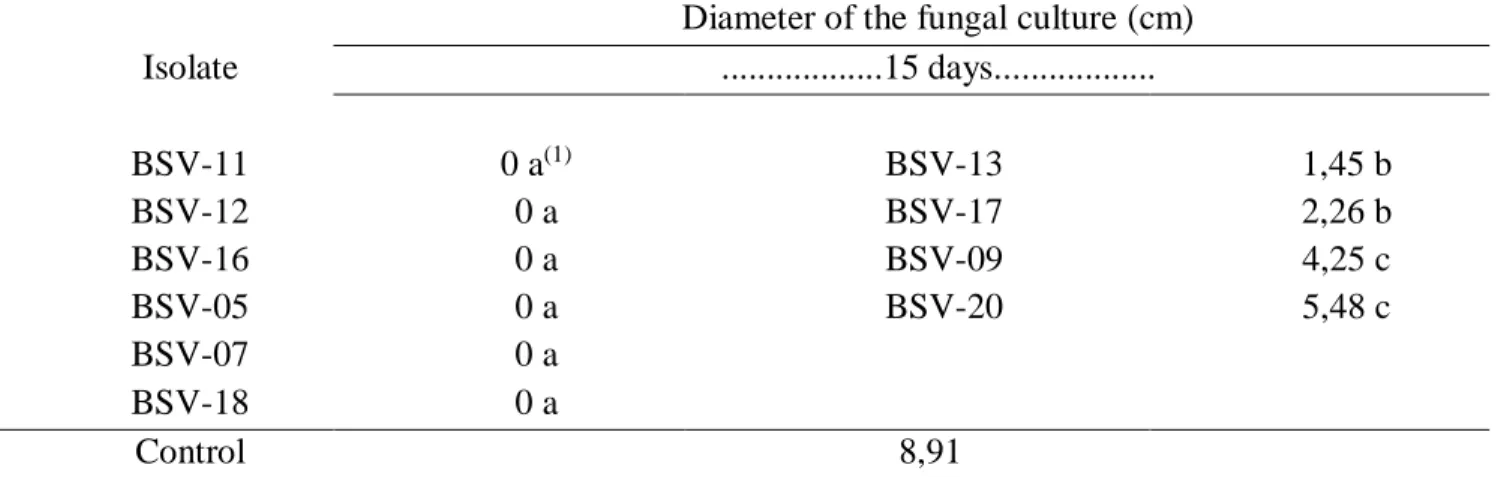 Table  3  -  Diameter  of  the  fungal  culture  of  Colletotrichum  gloeosporioides  together  with  Bacillus  subtilis  isolates in Petri dishes containing PDA medium after 15 days of incubation