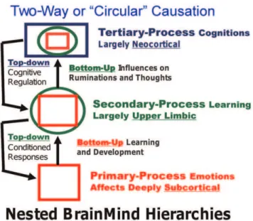Figure 3. Nested hierarchies of control within the brain. A summary of the hierarchical bottom-up and top-down (circular) causation that is proposed to operate in every primal emotional system of the brain