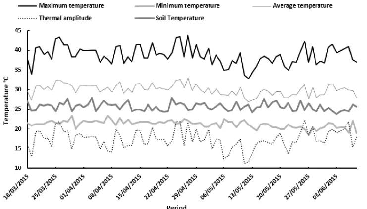 Figure 2. Maximum, average, minimum, soil temperature and thermal amplitude (°C) of the protected  environment in the period from 03/18/2015 to 06/08/2014