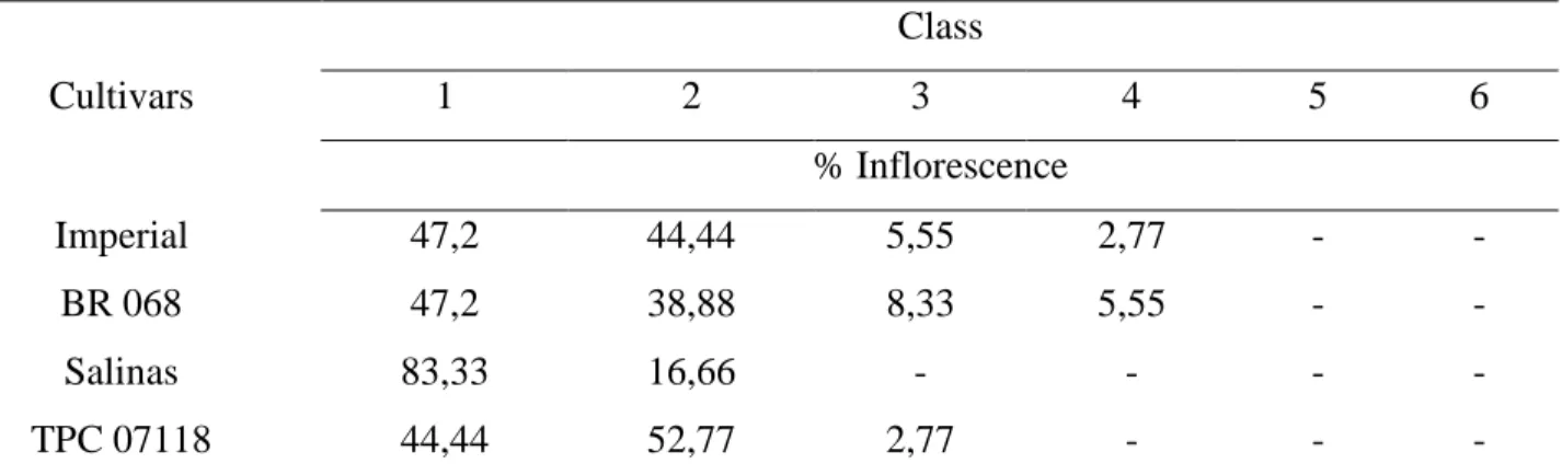 Table 3. Commercial classification of inflorescence.  