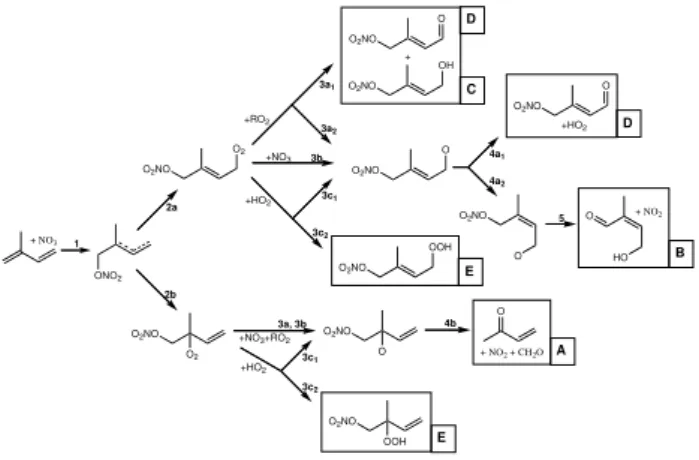 Fig. 1. Partial oxidation scheme for NO 3 +isoprene showing prod- prod-ucts resulting from initial addition of NO 3 at the C 1 position