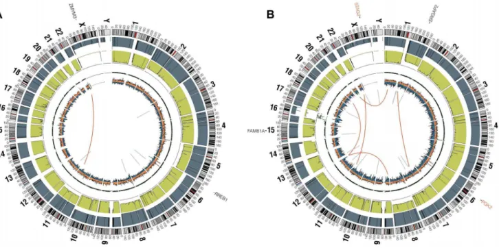 Figure 1. Circos plots of representative Ewing sarcoma family tumors. Circos plot tracks represent somatic mutations, from outside circle: