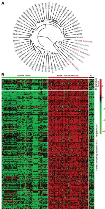 Figure 2. Molecular profiling of Ewing sarcoma family tumors using RNA sequencing data