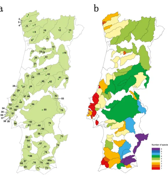 Figure 1 Studied area. (A) sampled river basins and sub-basins; (B) number of native cyprinid species occurring in each sampled river basin/sub-basin