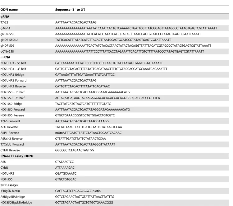 Table 1. Oligodeoxyribonucleotides.