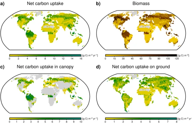 Fig. 5. Global maps of model estimates. (a) Net carbon uptake by lichens and bryophytes