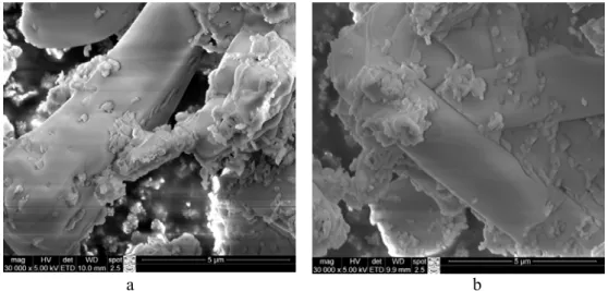 Fig. 9. SEM microphotographs of the anhydrite obtained after having heated the gypsum with  low-furnace dust additive at the temperatures of 800 (a) and 900 °C (b); different  magnification   