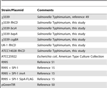 Table 1. Strains and plasmids used in this study.