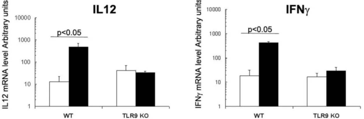 Figure 1. IL12p40 and IFNc responses after CpG-ODN treatment in the intestine. CpG-ODN was administered orally in 8-day-old WT and TLR9 KO neonate mice at a dose of 20 mg/g (black boxes)