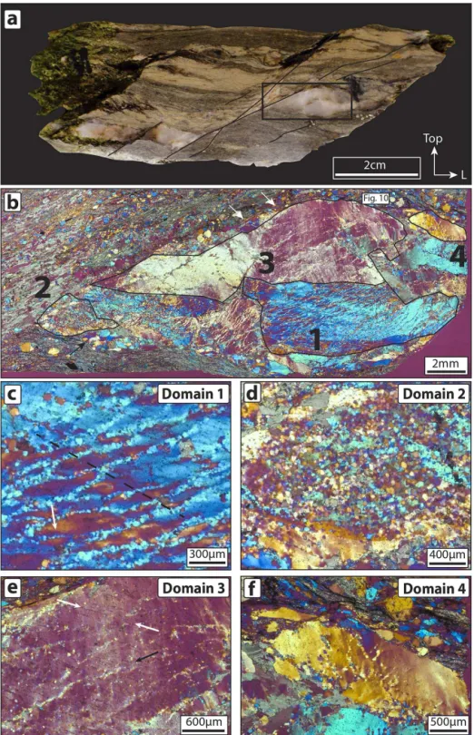 Figure 3. (a) Studied hand specimen. A discrete shear band cuts through the entire sample and offsets the studied quartz vein
