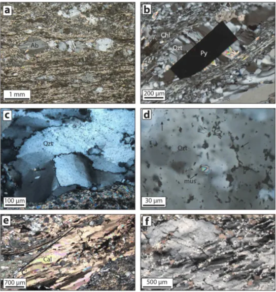 Figure 4. All the photomicrographs are taken with crossed polarizers. (a) Albitic feldspar crystals asymmetrically cut and offset by dextral shear bands within the sheared, phyllosilicate-rich foliation of the NFZ