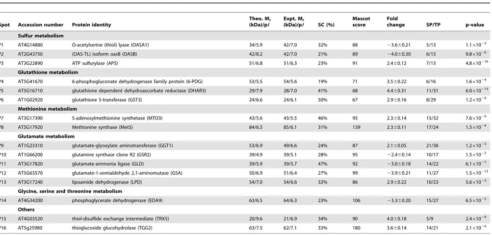 Table 1. Identification of protein spots with a significant 2-fold changes in AR compared with control treatment for Arabidopsis thaliana leaves.
