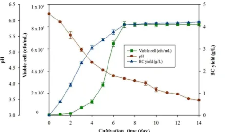 Figure 2.  Growth and BC production of  Komagataeibacter sp. PAP1 in optimised medium based  on SBW  