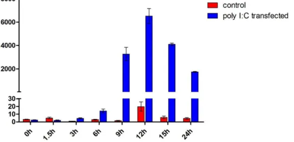 Figure 7. Expression patterns of tsIFN- l 3 on poly I:C transfection in TS-K5 cells. Cells were transfected with poly I:C and collected at the indicated times
