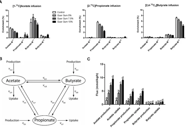 Figure 3. In vivo SCFA fluxes. (A) Enrichment of cecal SCFAs after 6 h infusion with [1- 13 C] acetate, [2- 13 C] propionate or [2,4- 13 C 2 ] butyrate for the different guar gum groups