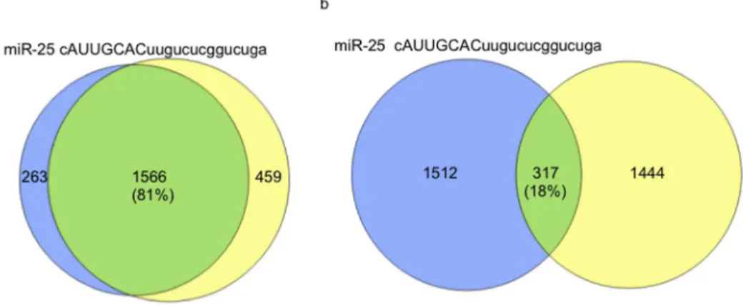 Fig. 1. A single nucleotide difference in seed region of miRNAs is associated with a major change in regulated target genes