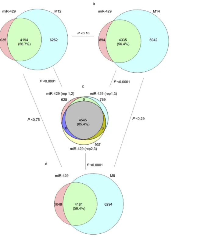 Fig. 3. Overlap among differentially expressed (DE) genes in HEY cells after ectopic expression of miRNAs with different seed region sequences.