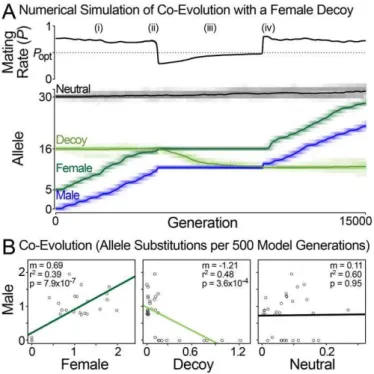 Figure 5. Population simulation of sexual conflict with a female decoy. (A) A representative run of the simulation showing how the decoy influences mating rate and male-female co-evolution