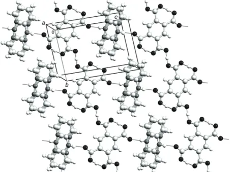 Fig. 2. Motif of hydrogen bonds (thin dark lines) in the (223) crystallographic plane
