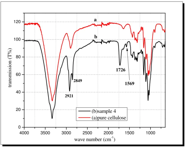 Figure . show the FT-IR spectra of microcrystalline cellulose (spectrum a) and DDSA-succinylated cellulose  samples 4 (spectrum b) The absorbance peaks at 3343, 2904, 1641, 1371, 1171, and 1051 cm -1  seen in spectrum  (spectrum a) are associated with nati