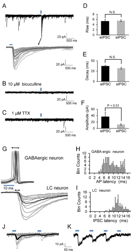 Fig 5. Postsynaptic responses to GABAergic neurons in LC region. Same Cl - concentrations were applied to the internal peptide and bath solutions for whole cell voltage clamp
