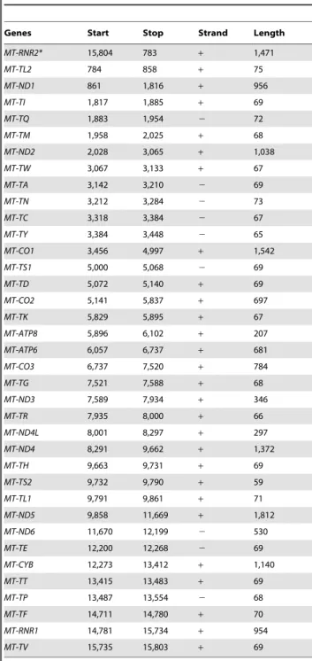 Table 2. List of genes of mtDNA of Brachyteles arachnoids.