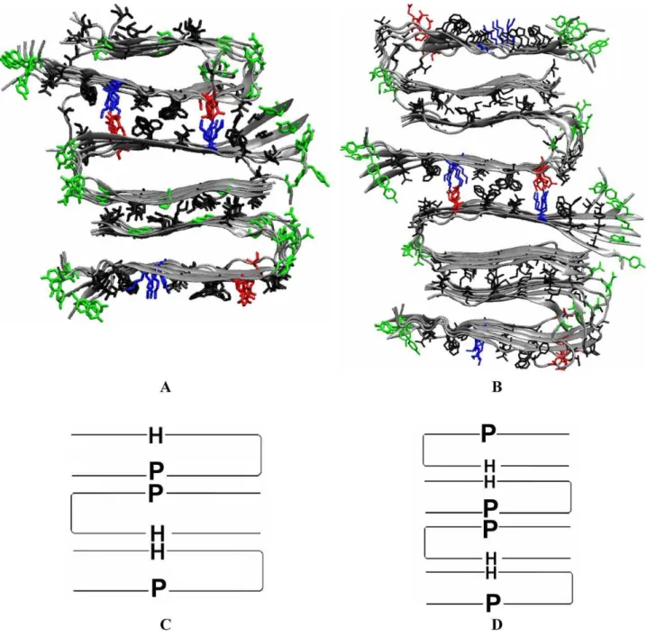 Figure 4. Quiescent fibril structure models of purely synthetic fibrils obtained from our stacking simulations