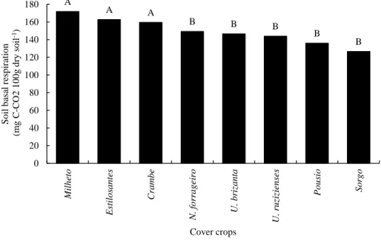 Figure 1. Basal respiration of soil cultivated with maize in succession to different cover crops grown in  the winter crop