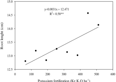 Figure  1.  Carrot  root  length  of  Brasilia  Irecê  under  K 2 O  doses.  Sinop,  State  of  Mato  Grosso,  Brazil (November, 2010).