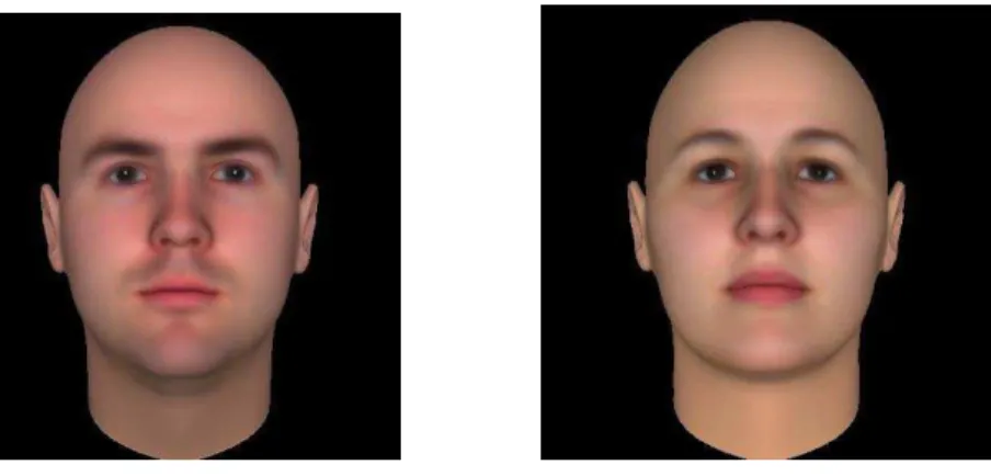 Figure 2.  Examples for the Stimuli in Study 1 (Database developed by Oosterhof and  Todorov, 2008) 