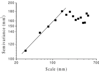 Fig. 2. An example of the relationship between the structural func- func-tion γ (h) plotted on a log-log diagram and the scale.