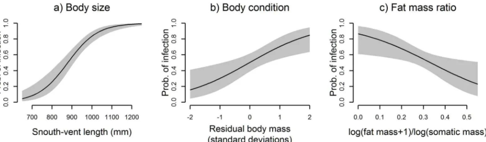 Fig 3. Effect sizes for model terms under the top model. (a) Effect of SVL at mean values of body condition and fat mass ratio; probability of infection = 0.5 at 880 mm SVL