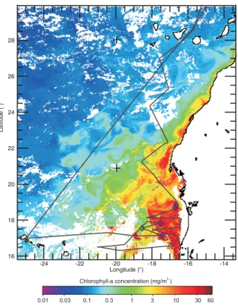 Fig. 1. RHaMBLe cruise track off the West coast of Africa overlaid on satellite chlorophyll image (SeaWiffs Ocean Color data)  aver-aged over the cruise period on May–June 2007