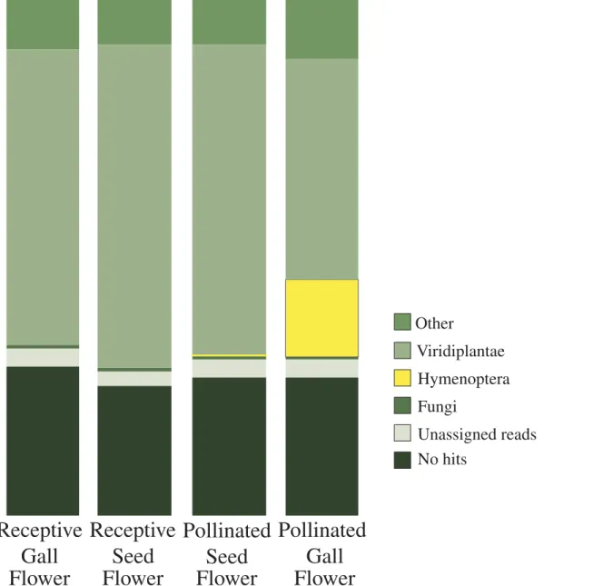 Fig 2. Taxonomic placement of assembled transcripts for each flower type. Columns indicate the percent of total transcripts assigned by MEGAN to Viridiplantae, Hymenoptera, fungi, and other organisms, as well as transcripts that had no annotation.