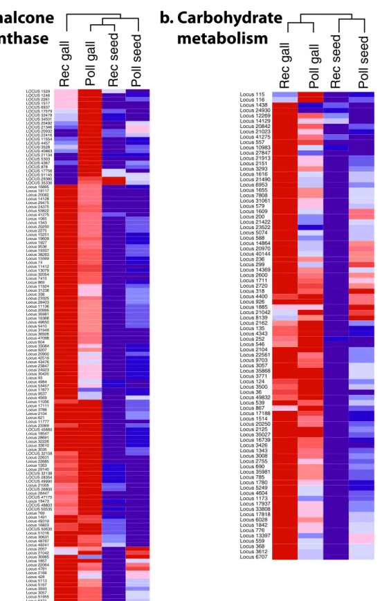 Fig 3. Clustered display of expression data from the metatranscriptome of Ficus flowers