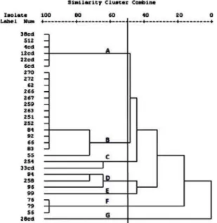 Fig. 3: Dendrogram derived from Jaccard Coefficient Cluster analysis  based on combined similarity matrix obtained from Coagulase RFLP-  using  Cfo  I restriction enzyme showing genetic relatedness among S
