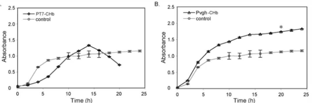 Fig 4. Growth curves of the recombinants P T7 -CHb and P vgh -CHb and the corresponding empty vector controls in anaerobic capped bottles