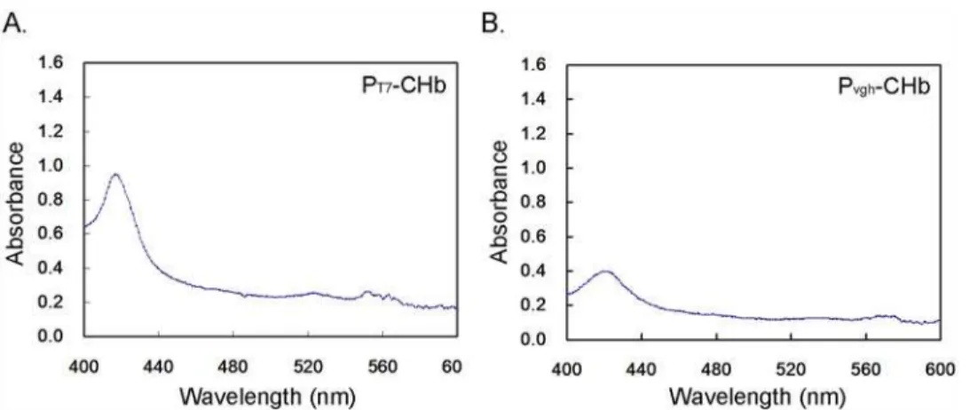 Fig 7. CO differential spectrum assays of the CHb in four recombinant cultures in the bioreactor