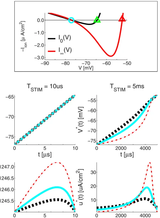 Figure 6. LAP optimal waveforms V  (t) and u  (t) for the 0D HHM: The I ION,0 (V) approximation of the ionic current is used for a case of very short duration (T STIM = 10 ms) and the I ION, ? (V) approximation is used for a case of long duration (T STIM =