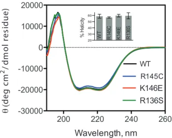 Table 1. Secondary structure content for apoE3 and variants calculated from Circular Dichroism spectroscopy experiments.