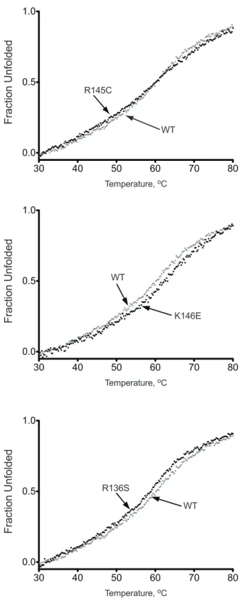 Table 2. Parameters calculated for the thermal unfolding of apoE3 and variants.